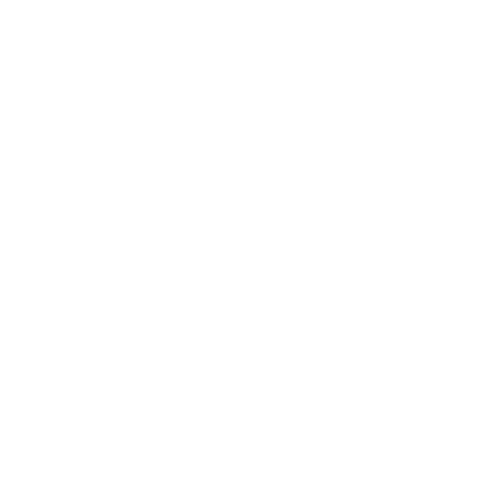 Shopify Plus